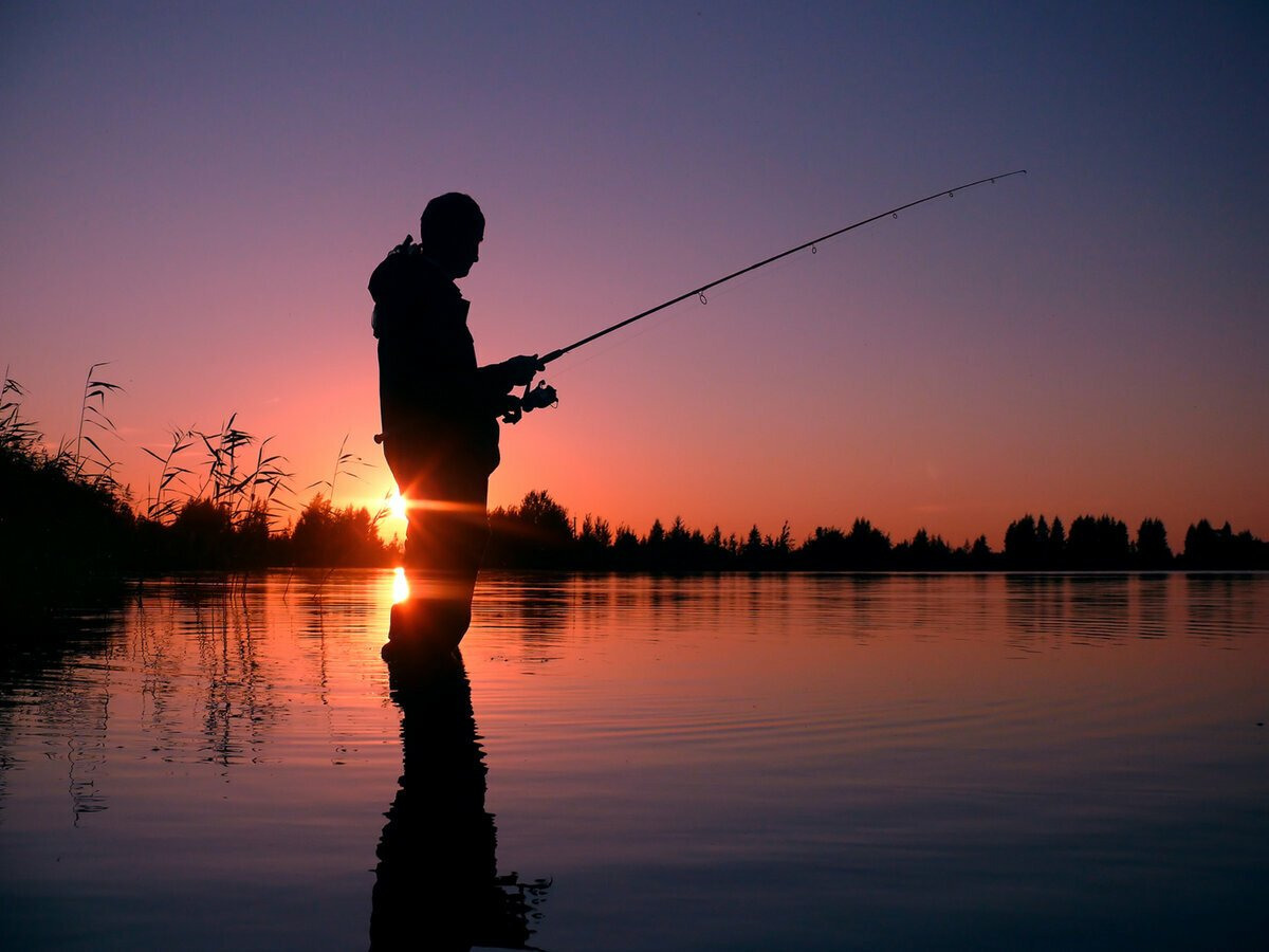Сон ловлю рыбу на удочку для мужчины