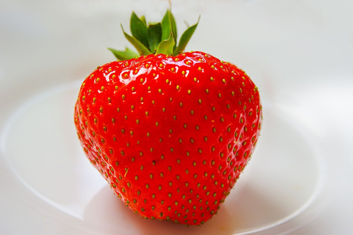 Описание клубники и земляничной ягоды — красивые картинки (60 фото)