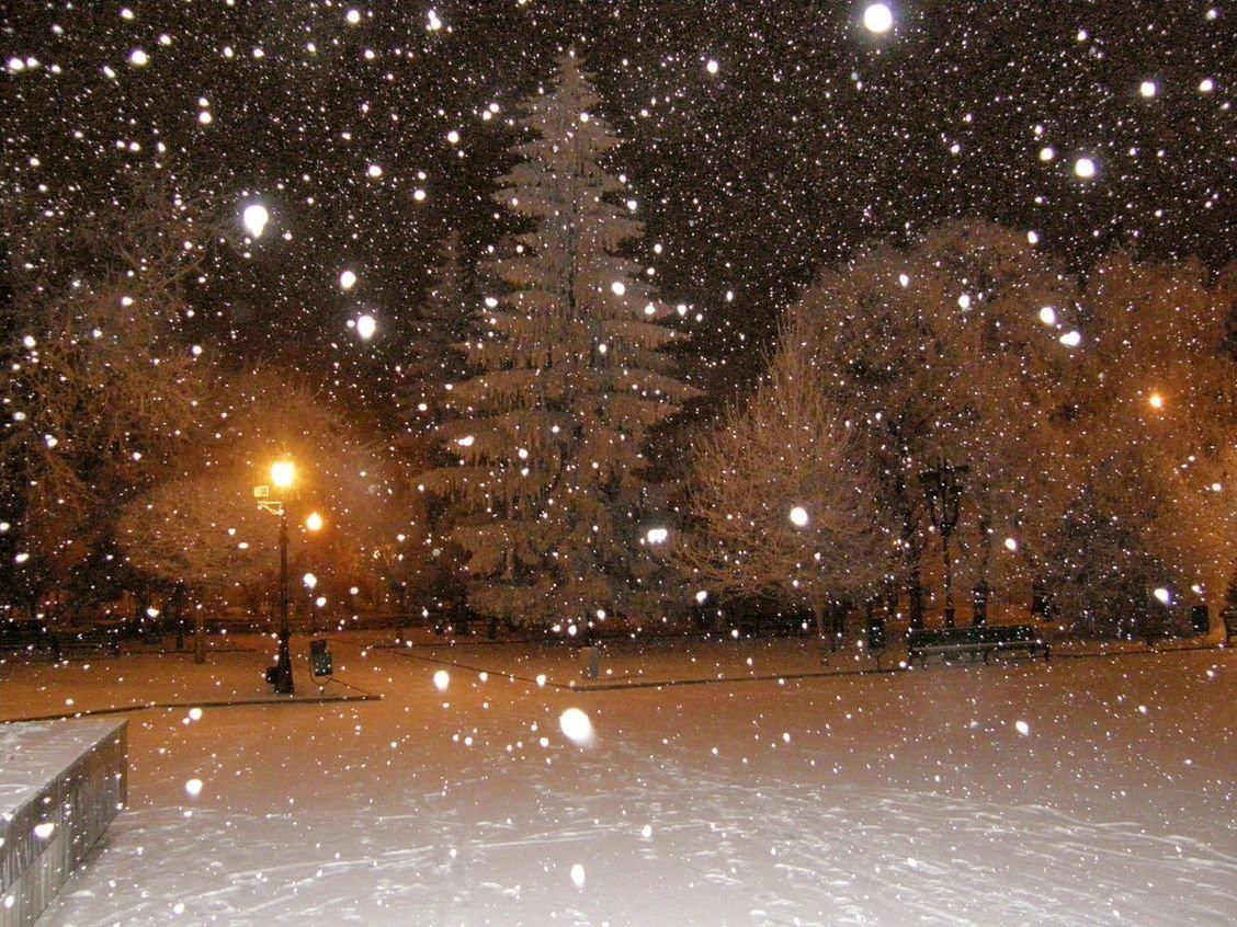 Ночной Снегопад
