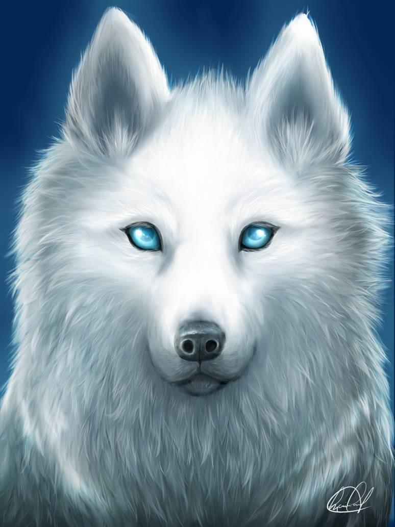Арт белый волк
