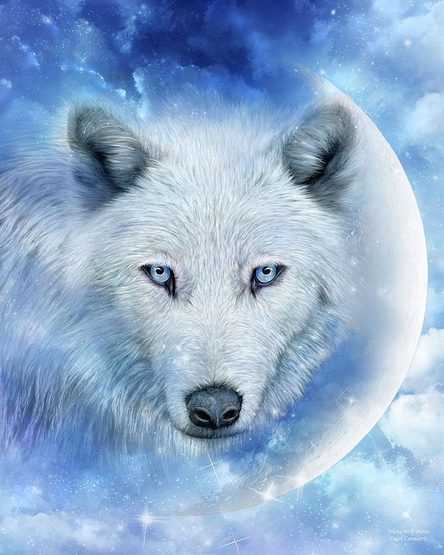 Carol Cavalaris белый волк