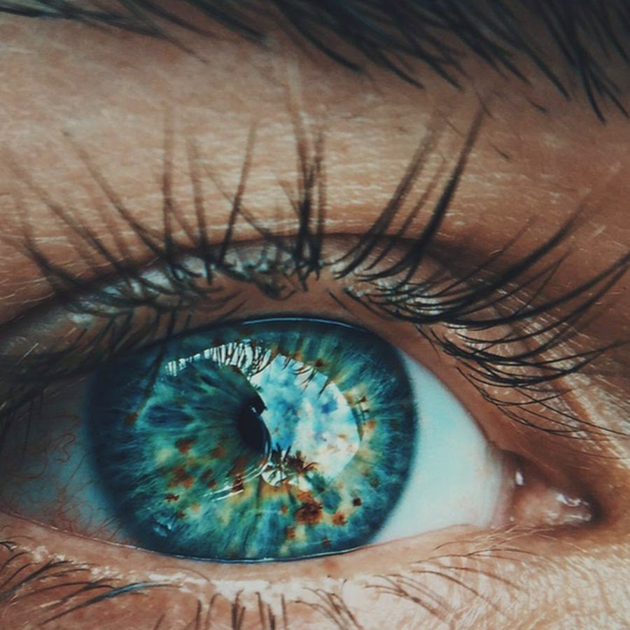 Красивый человеческий глаз