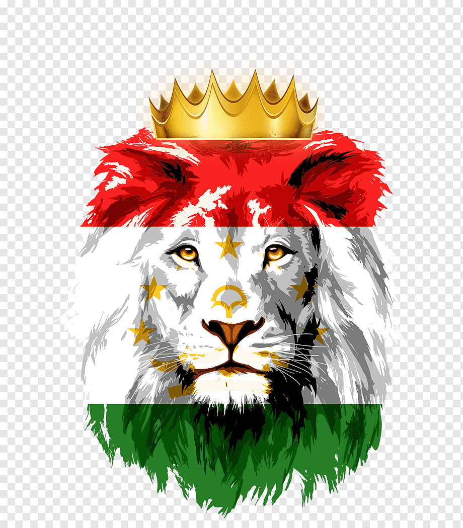 Флаг Таджикистана Лев