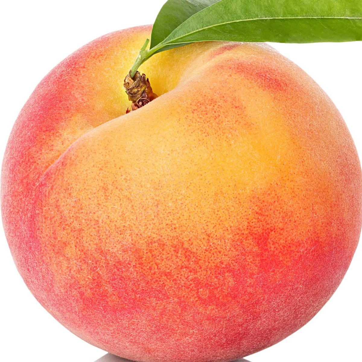 Персик на белом фоне