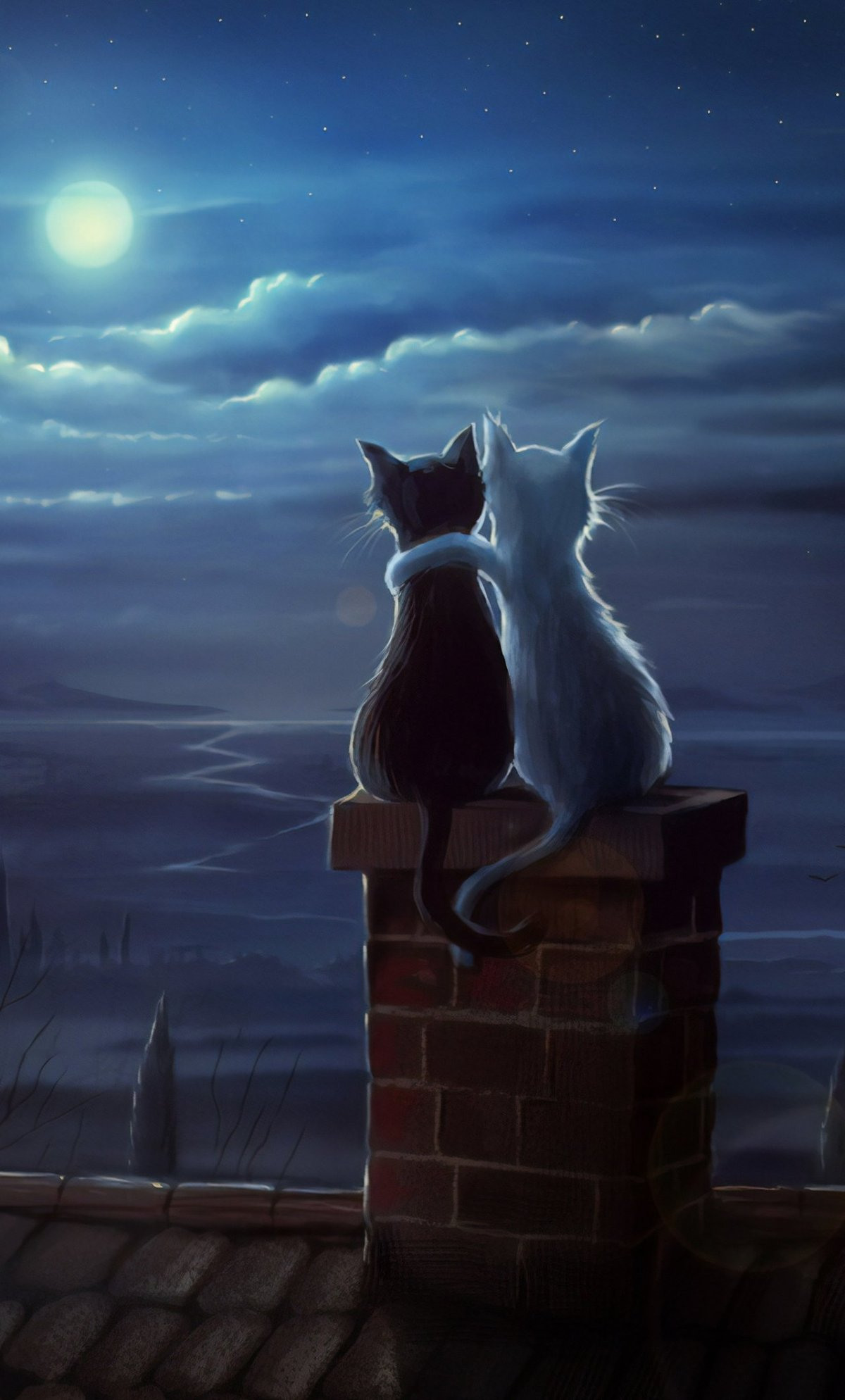 Кошка на крыше ночью
