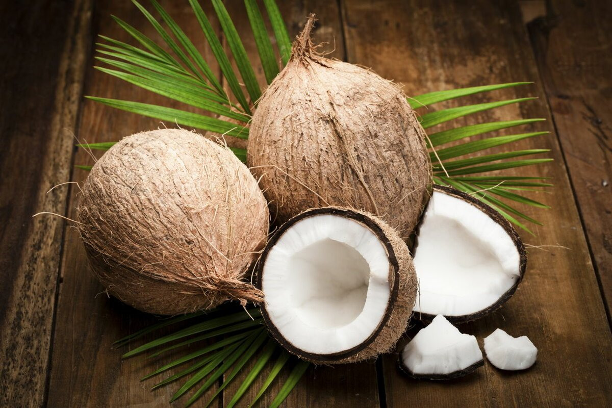 Коконат / Coconut