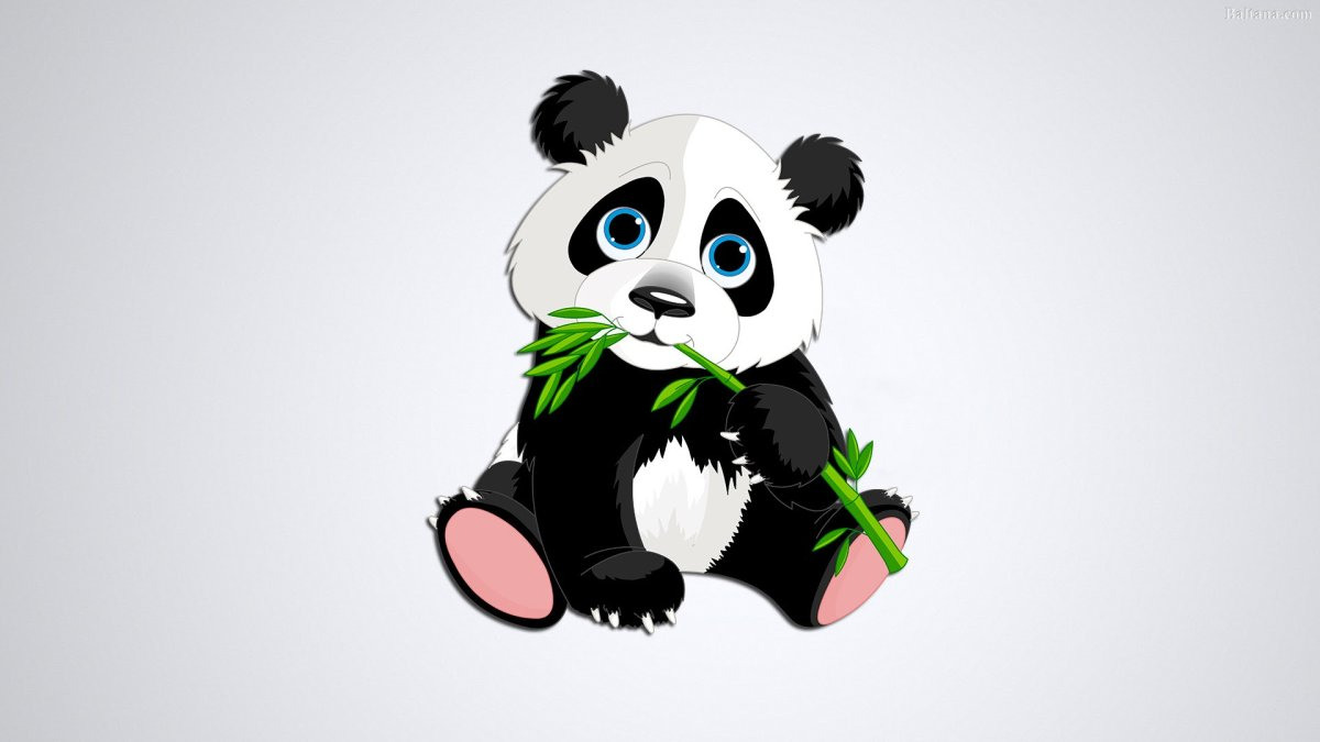 Панда фото картинки мультяшные