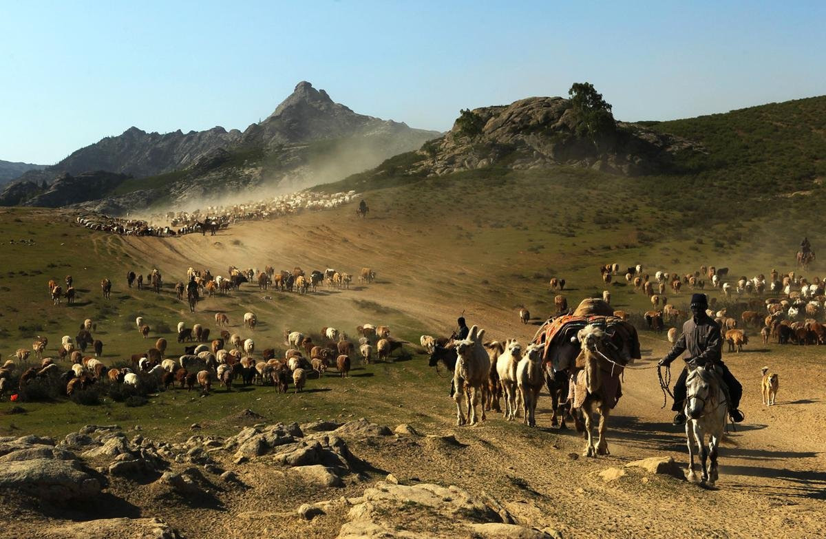 Кочевое скотоводство в Казахстане