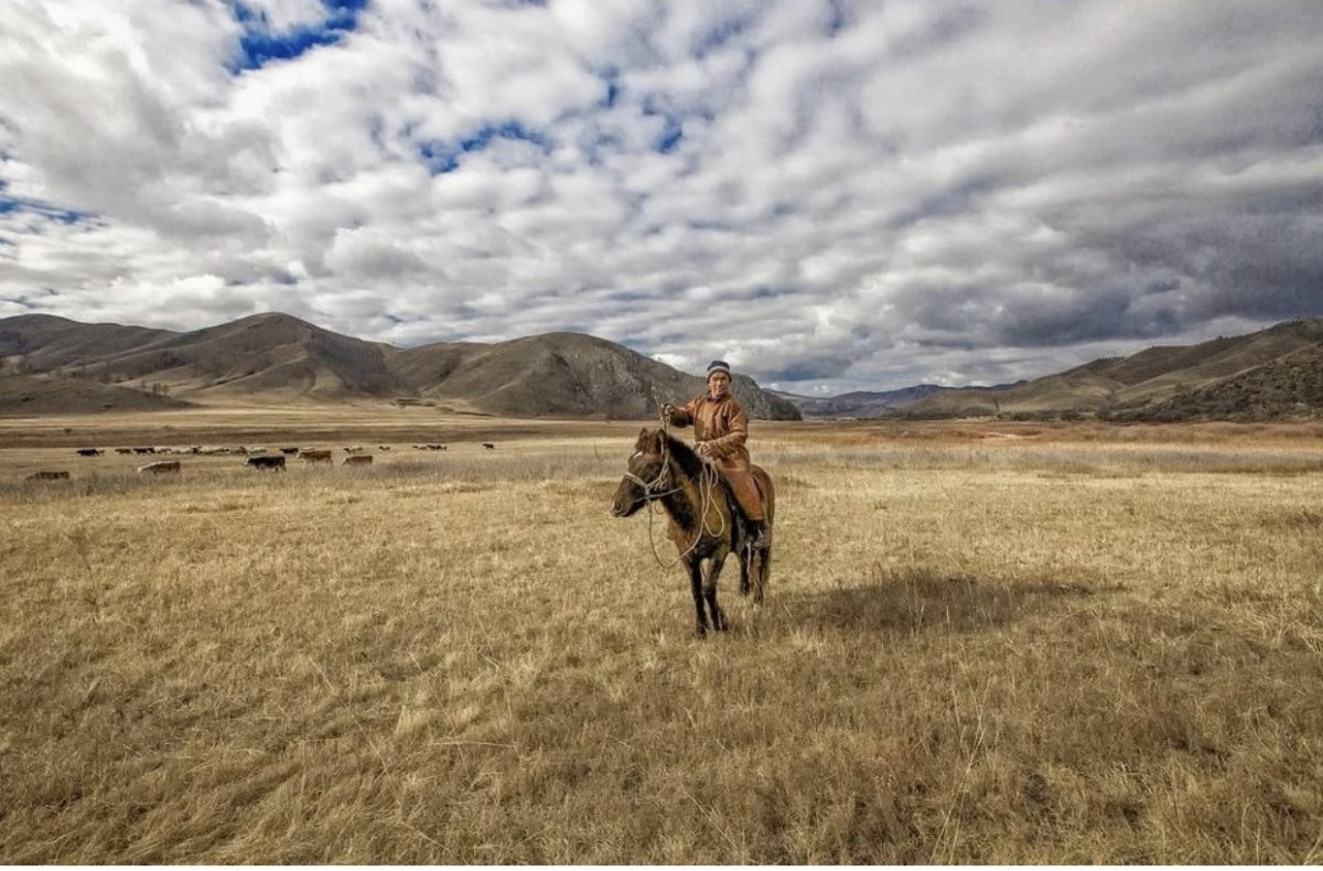 Кочевья в Монголии