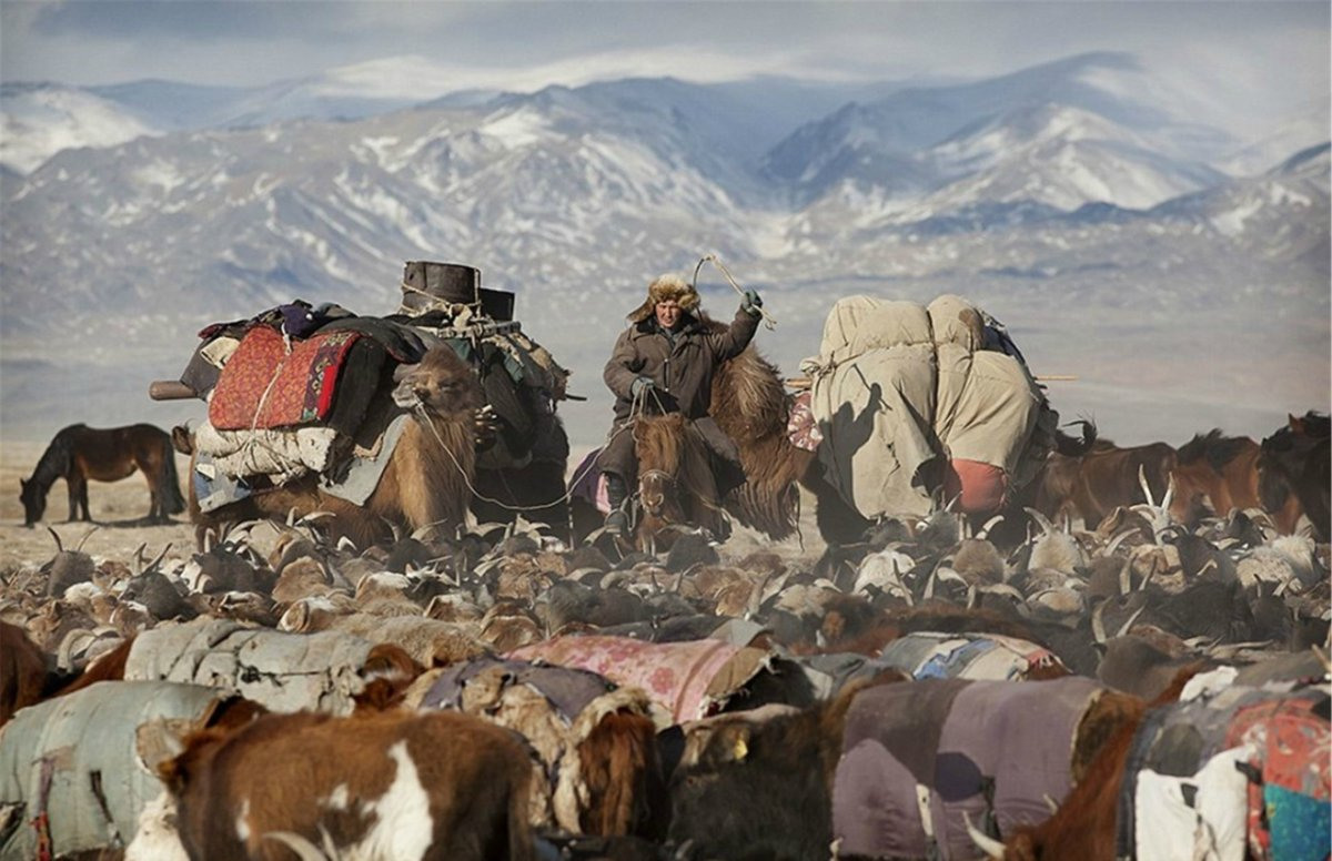 Кочевья в Монголии