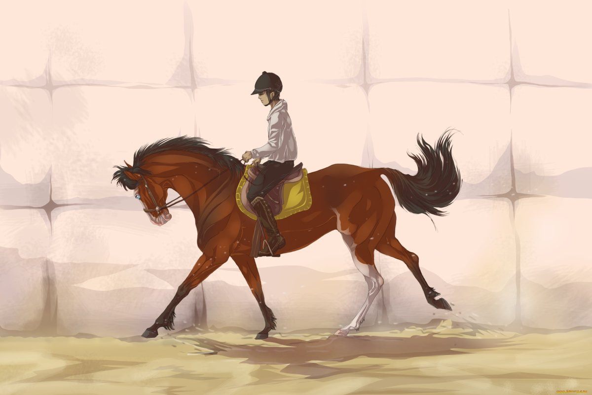 Всадник на лошади арт