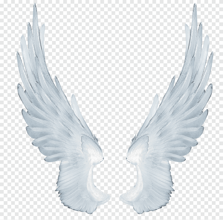 Ангельские Крылья на прозрачном фоне