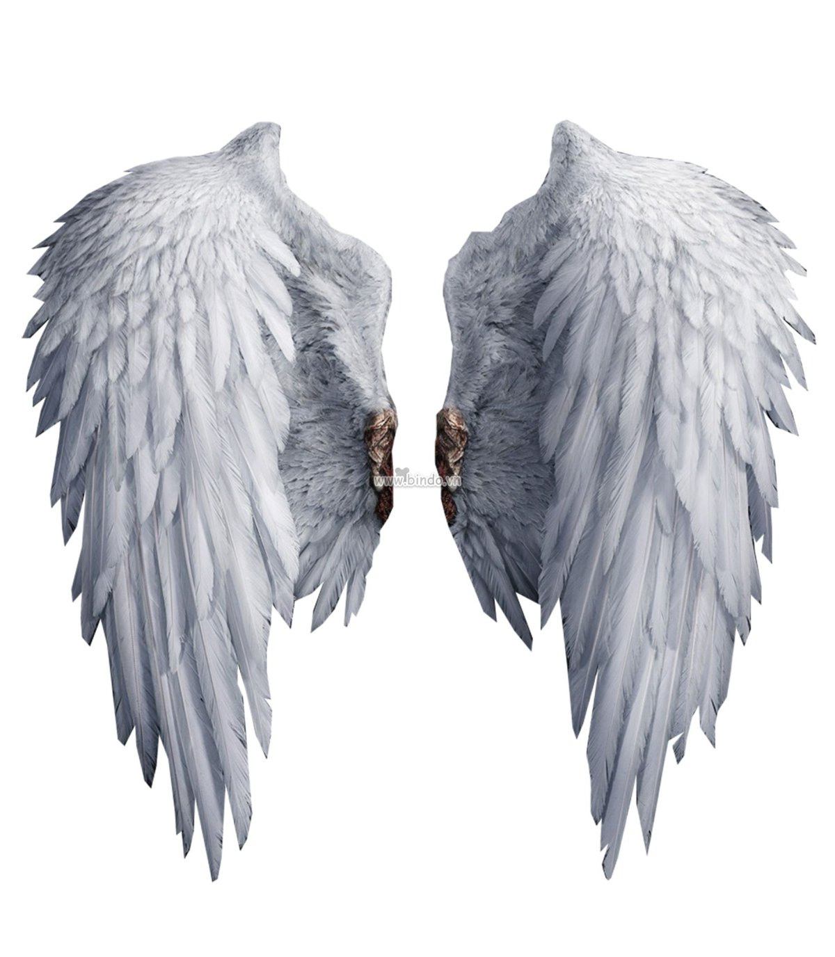 MADEVIL Крылья ангелов