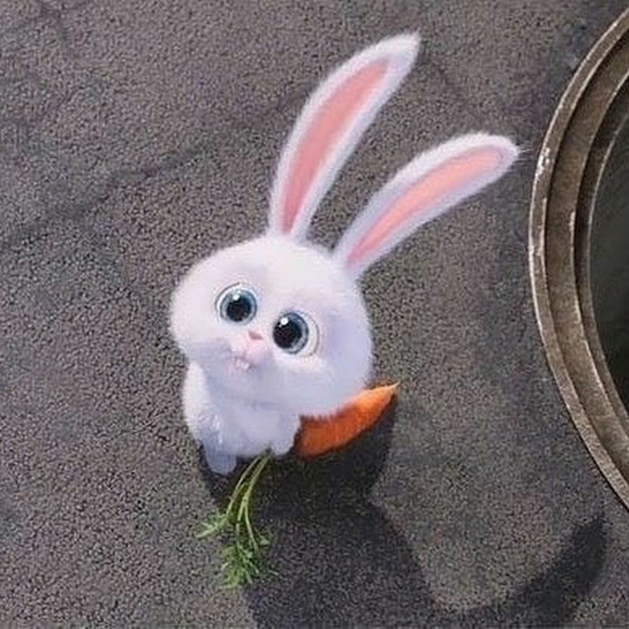 Кролик с морковкой из мультика