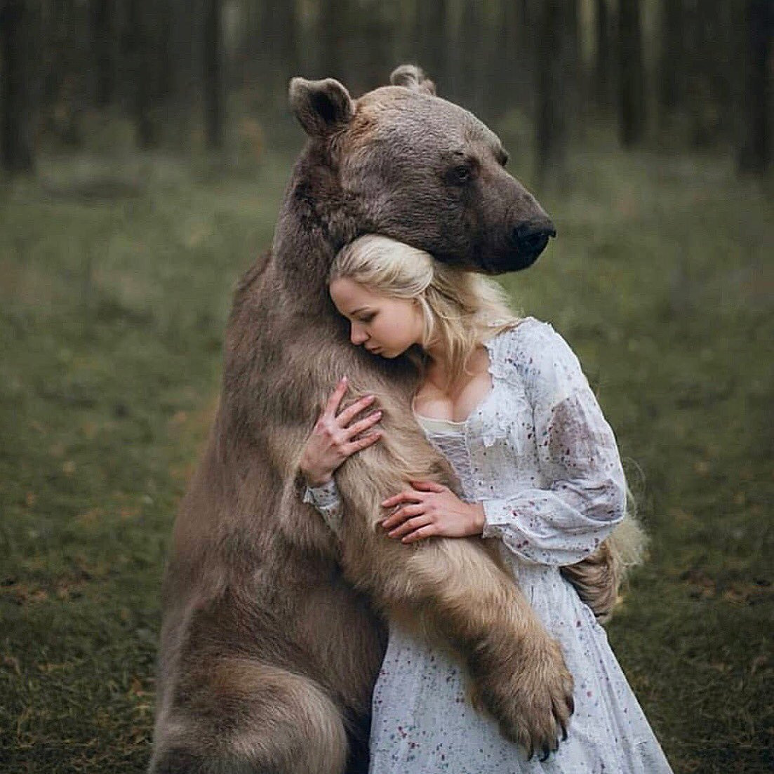 Медведь обнимает