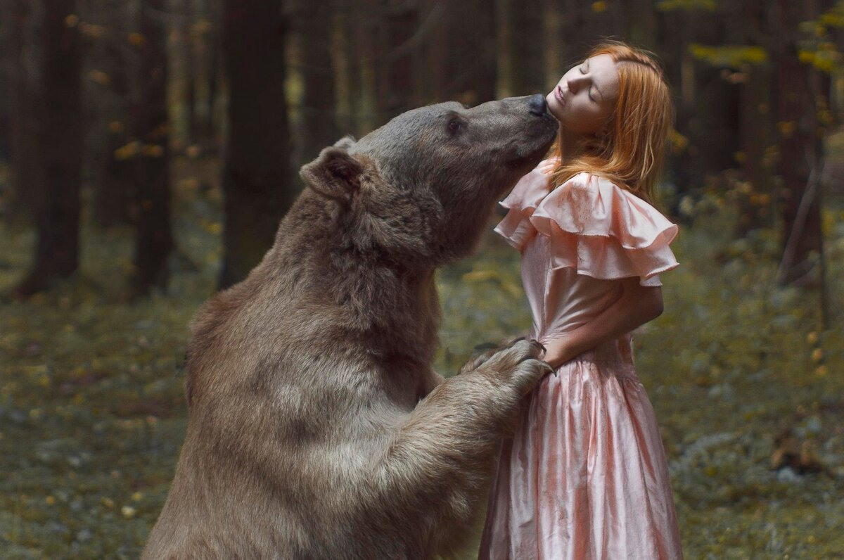 Катерина Плотникова медведь