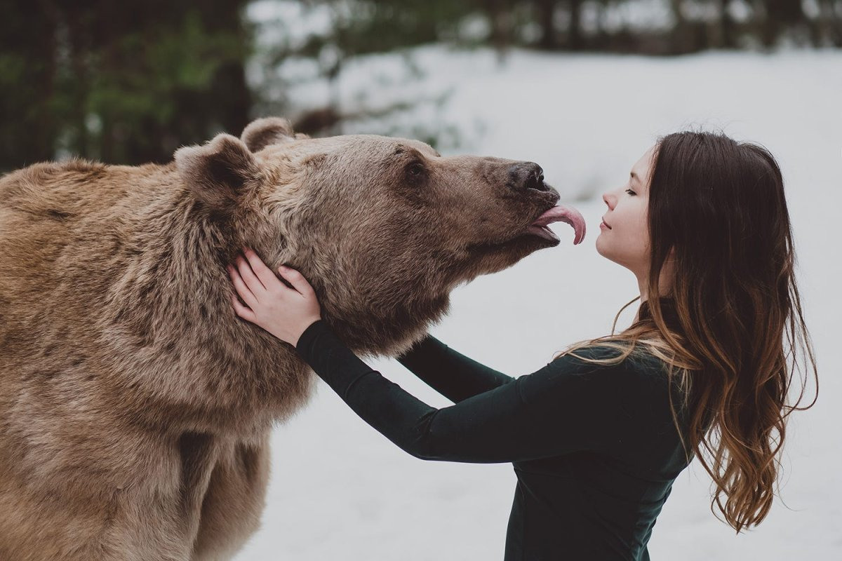 Медведь и человек