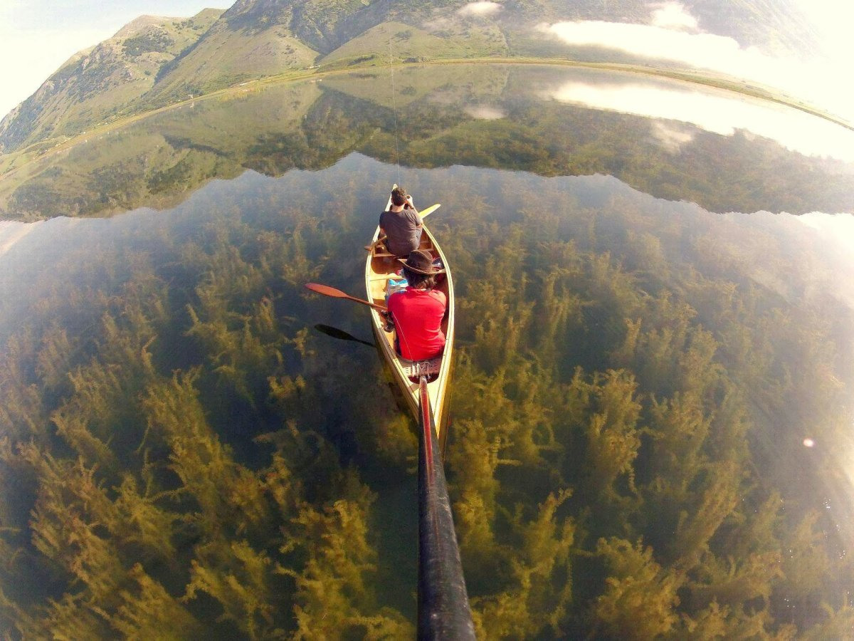 Впечатляющая фотография