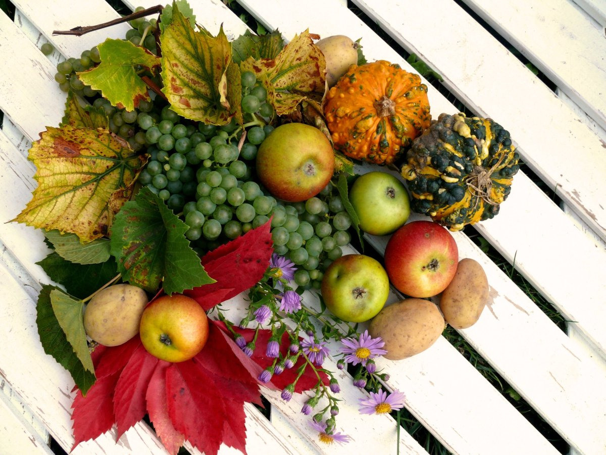 Осенний урожай фруктов