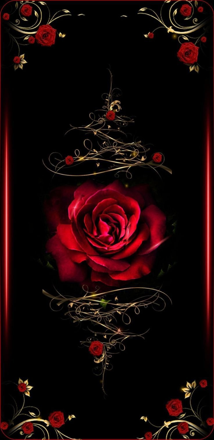 картинки на смартфон розы