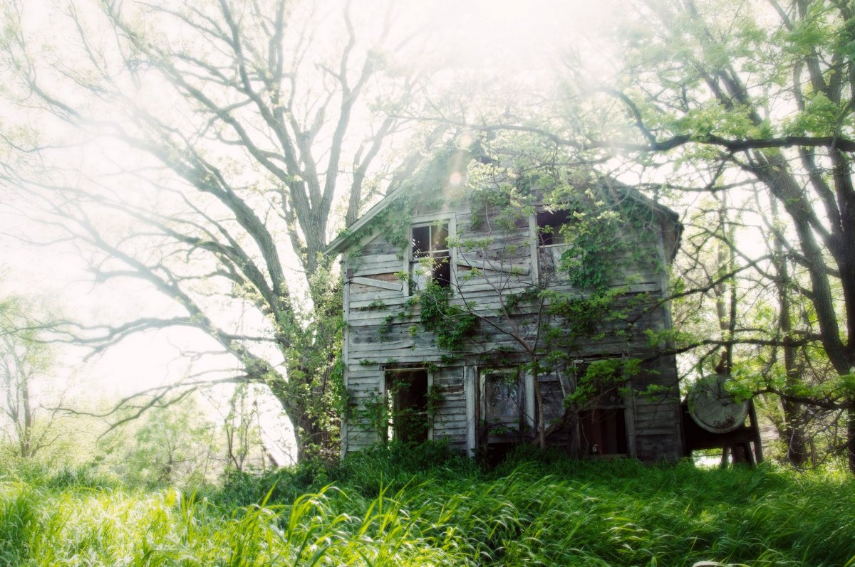 Заброшенный дом на дереве