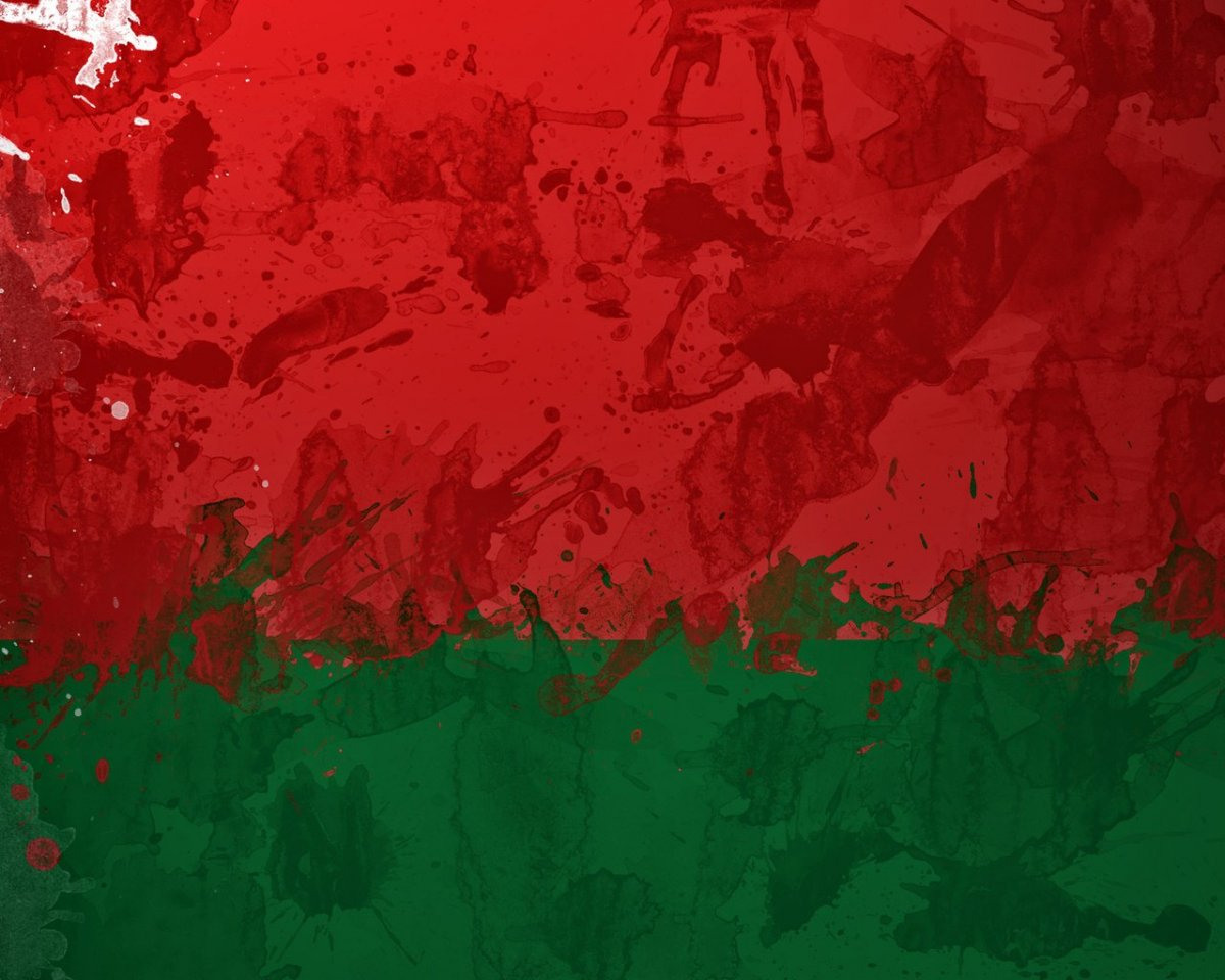 Флаг Беларуси 1920