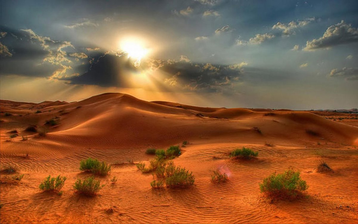 Пустыня фон