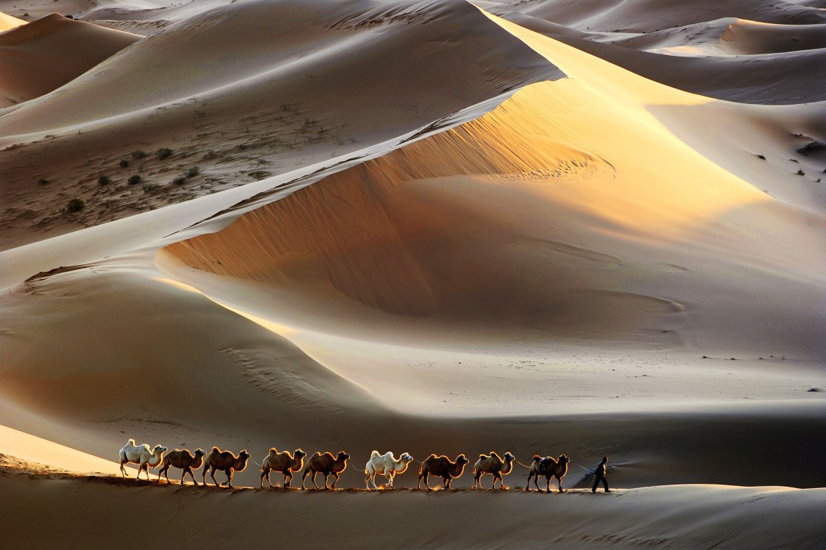 Пустыня Гоби Монголия арт