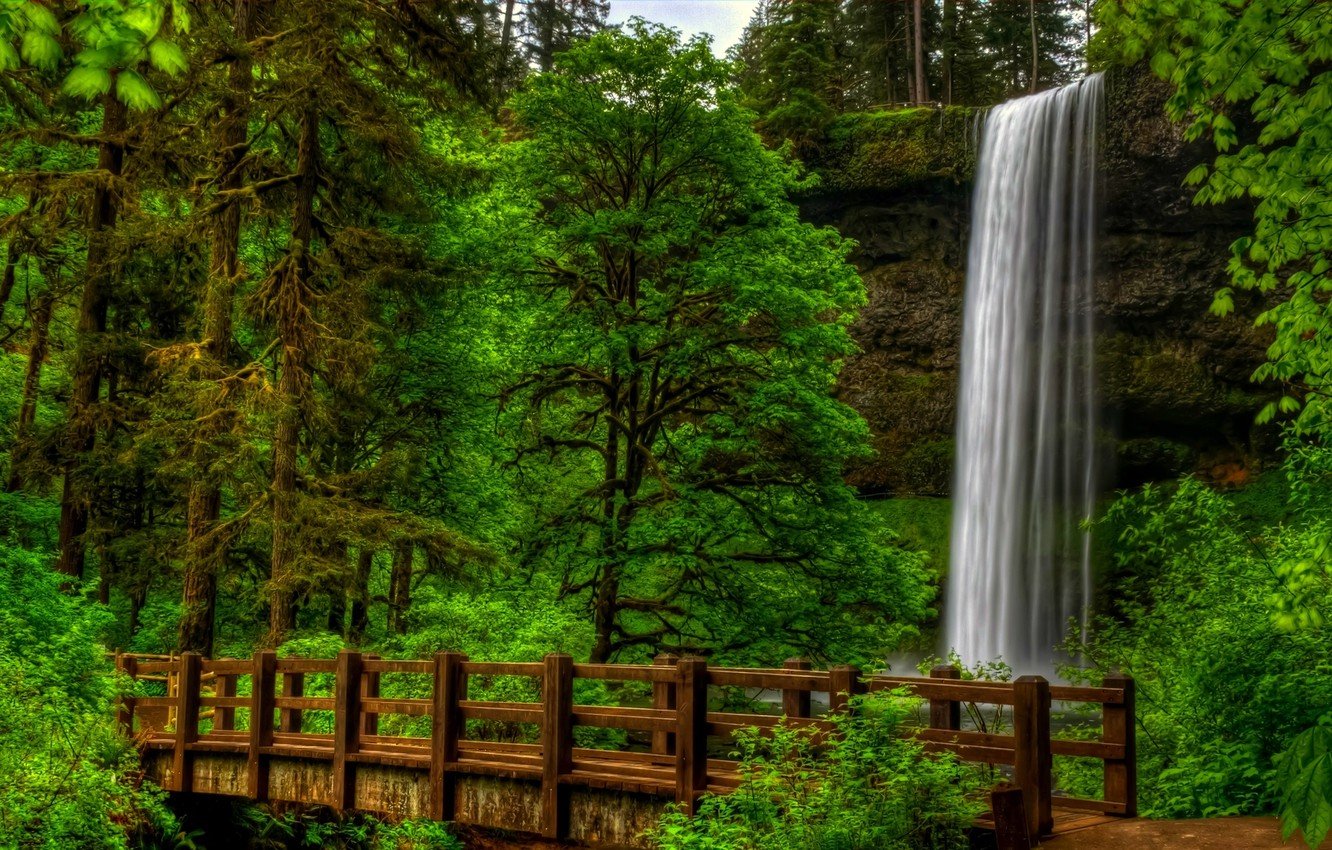 Природа лес водопад