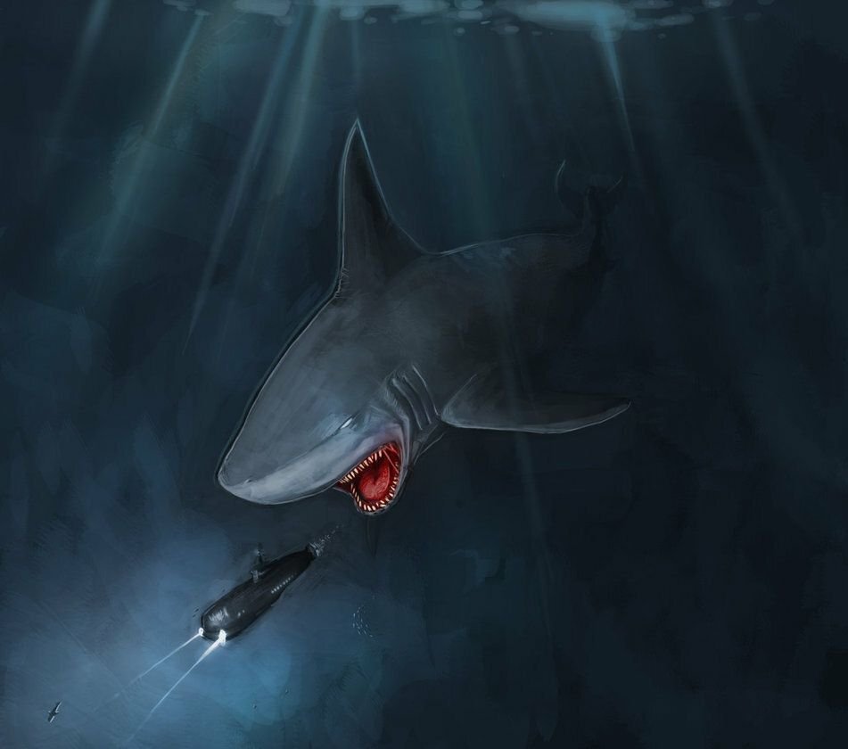 Картинки black shark