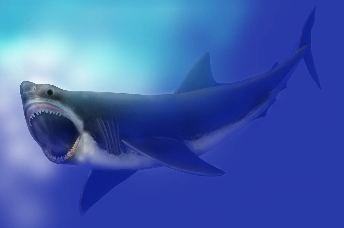 Кархародон акула Доисторическая