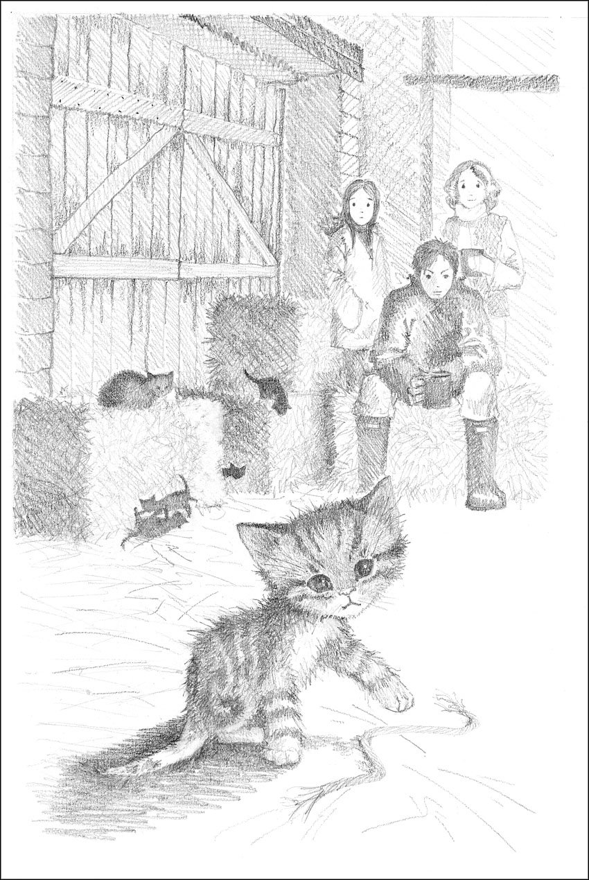Котёнок Пушинка, или Рождественское чудо Холли Вебб книга