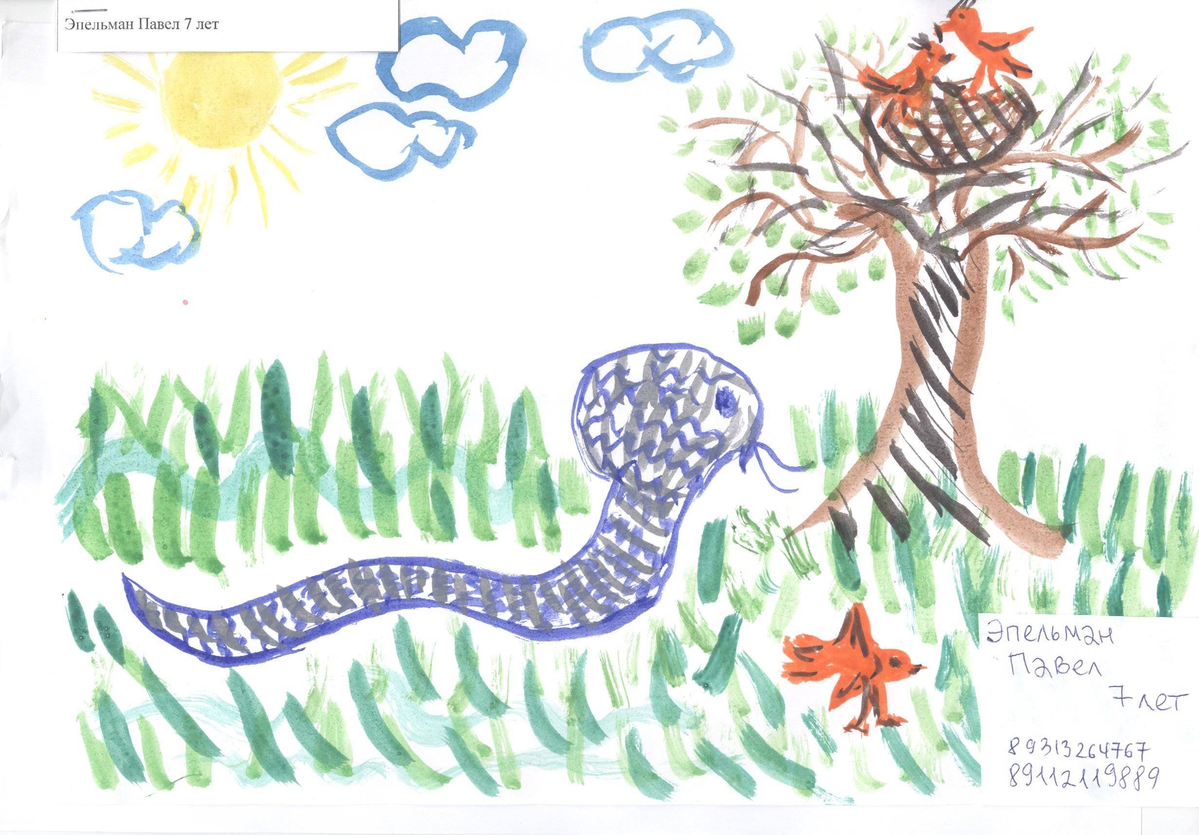 Рикки Тикки Тави рисунок для читательского дневника