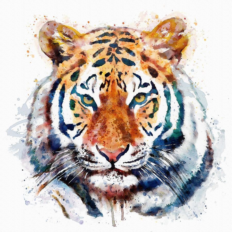 Алмазная живопись тигр