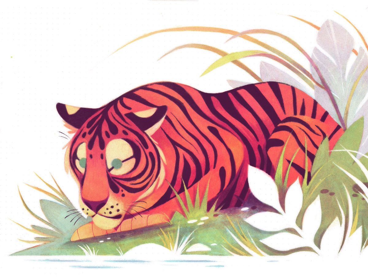 Тигра в иллюстраторе