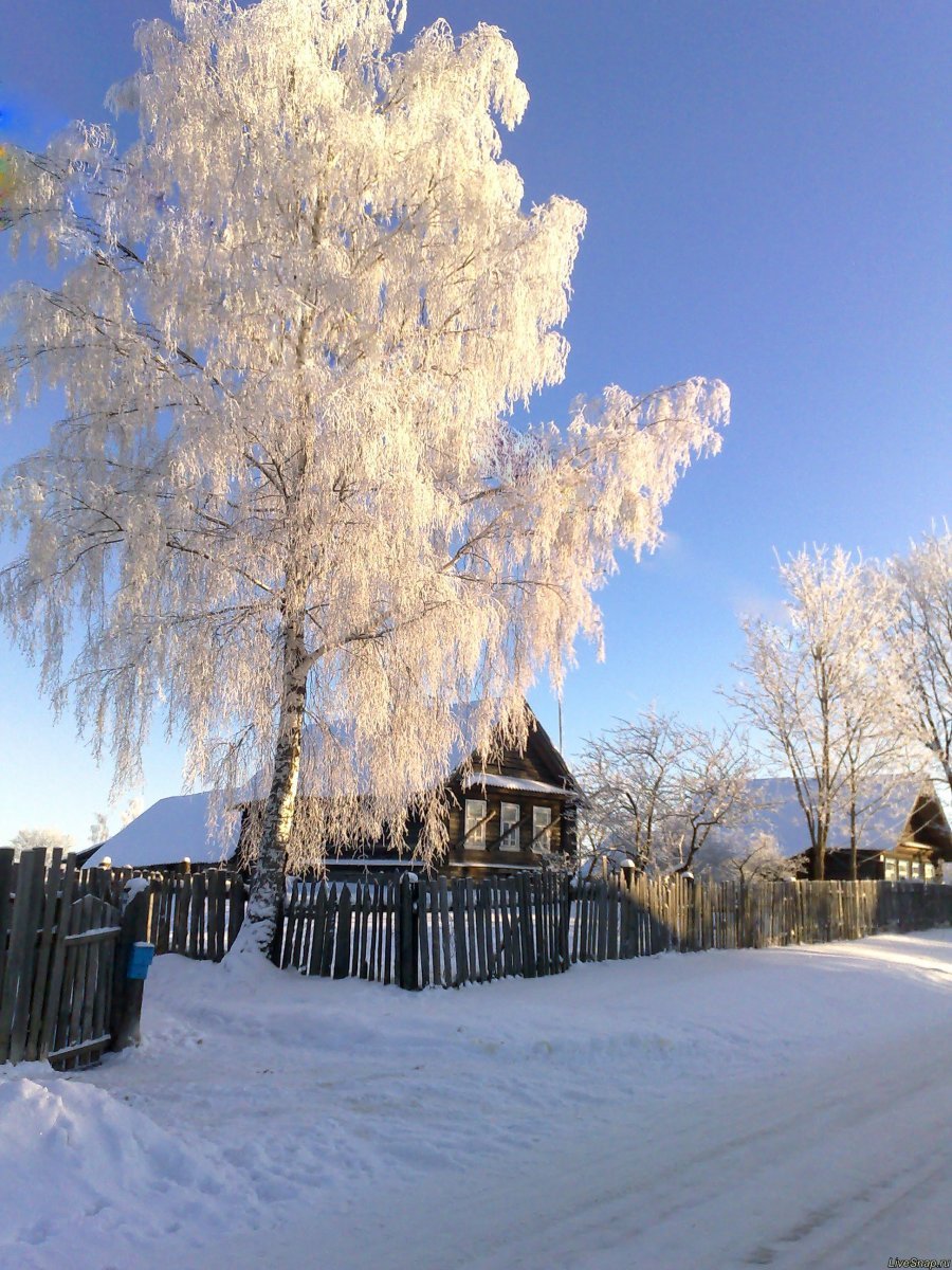 Фото к стихотворению