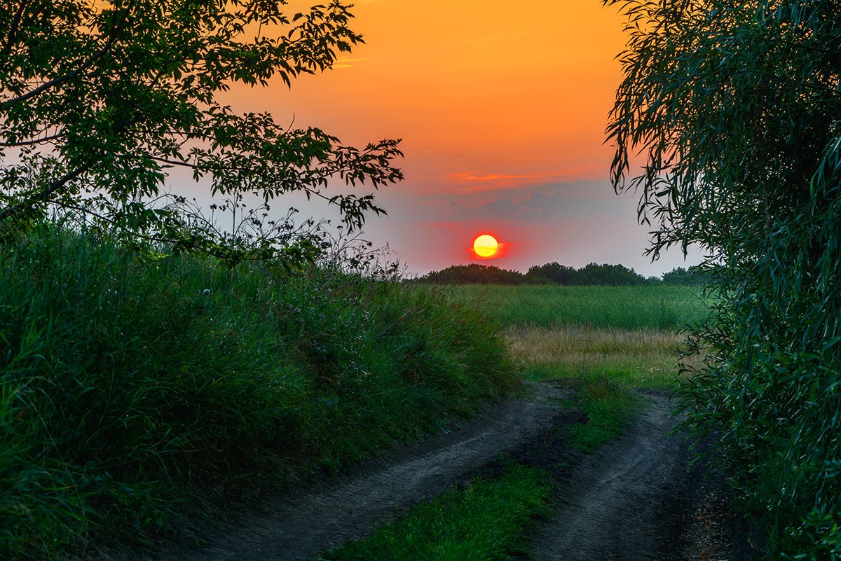 Фото к стихотворению