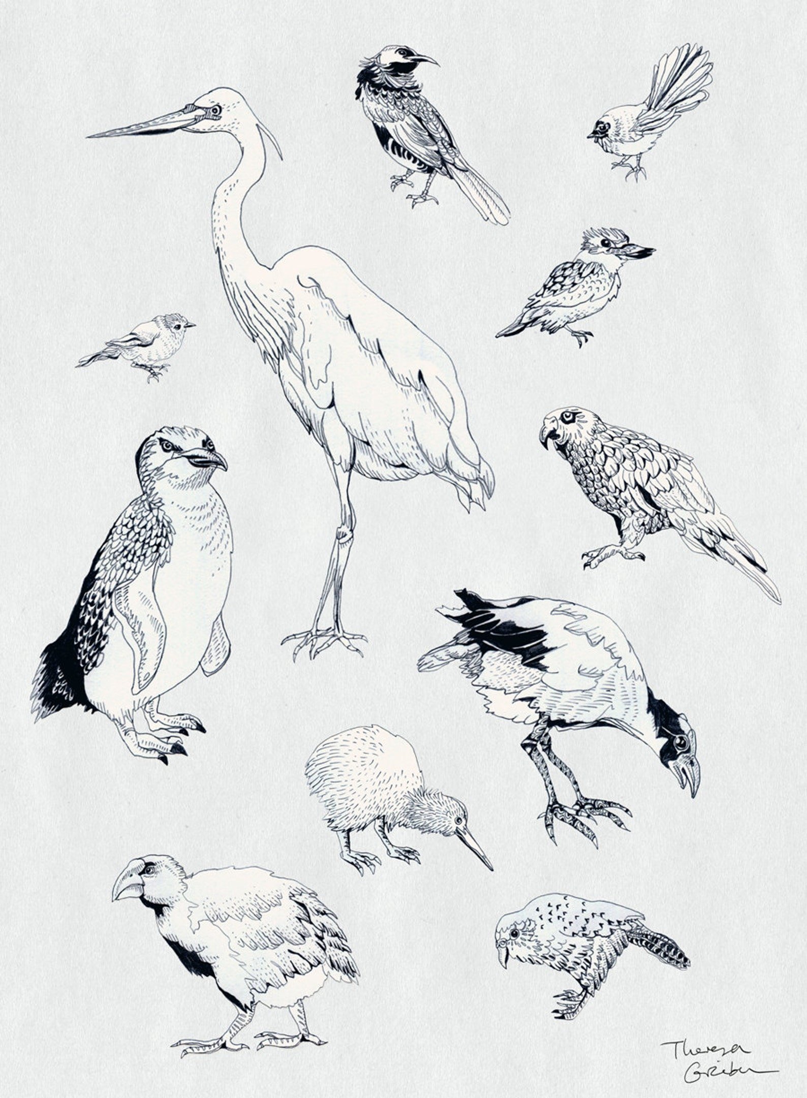 Наброски и зарисовки животных и птиц