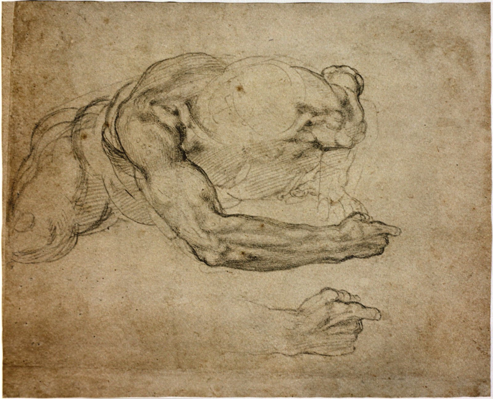 Микеланджело карандашный рисунок