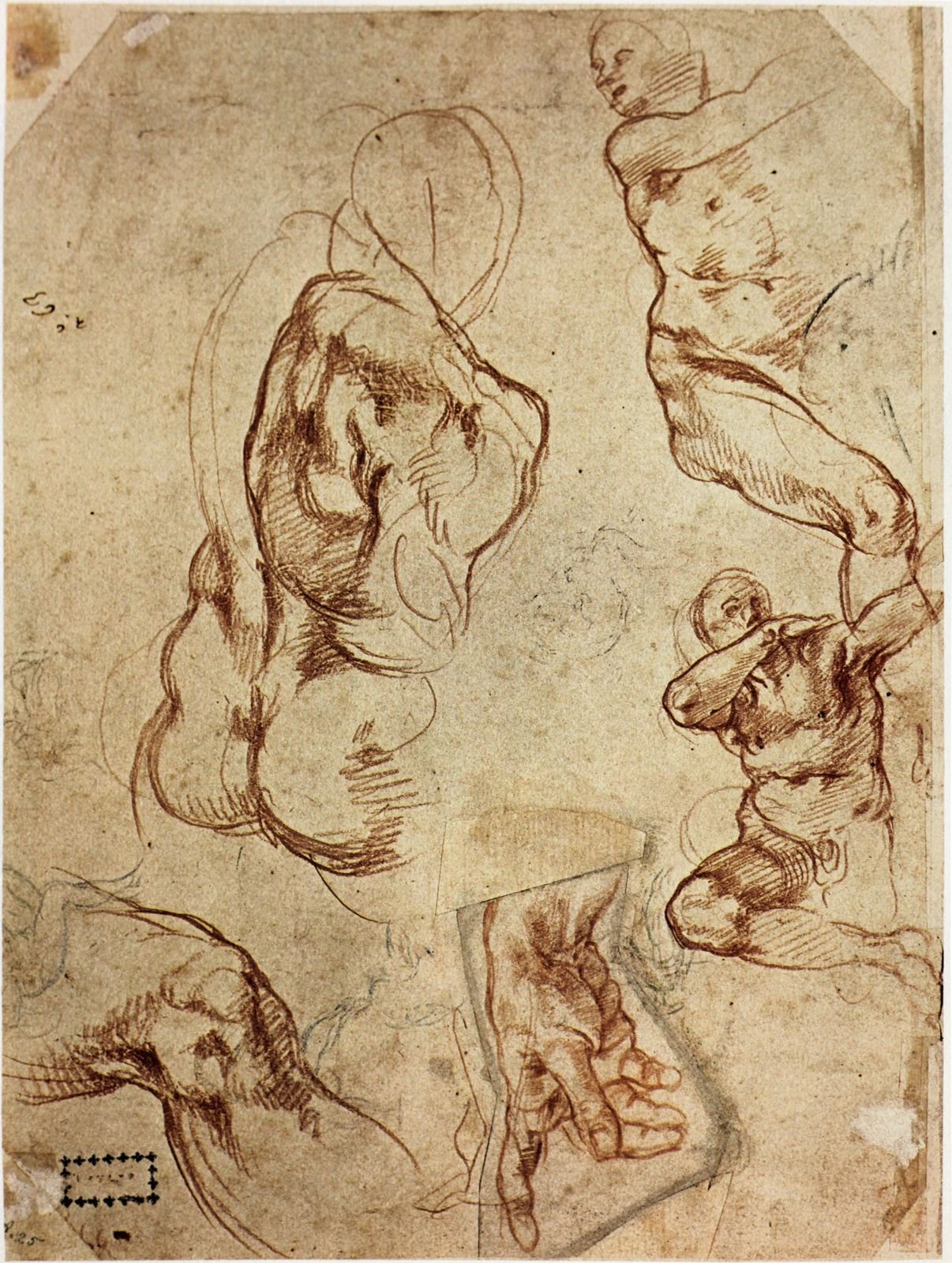 Анатомические зарисовки Микеланджело