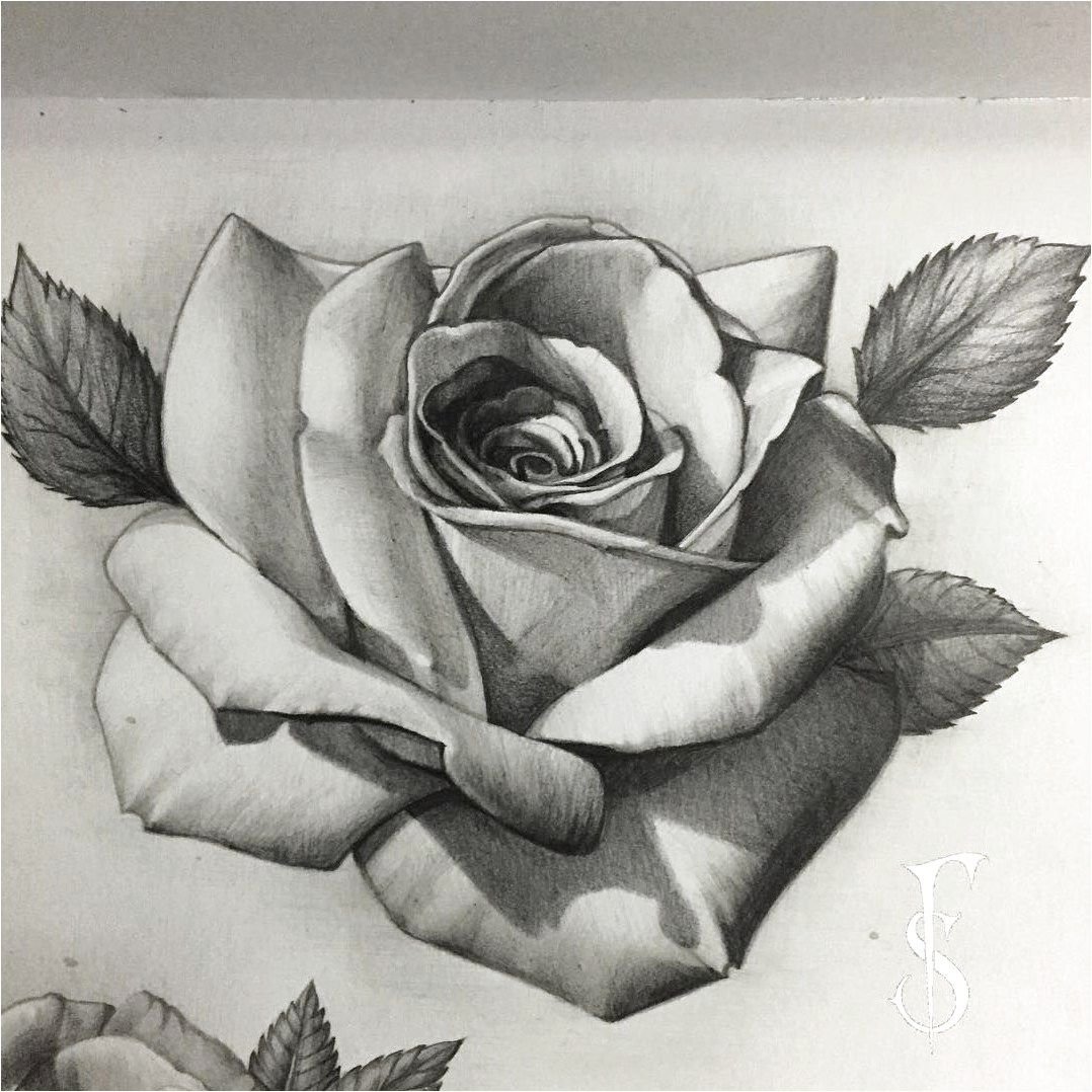 Chicano rose drawings