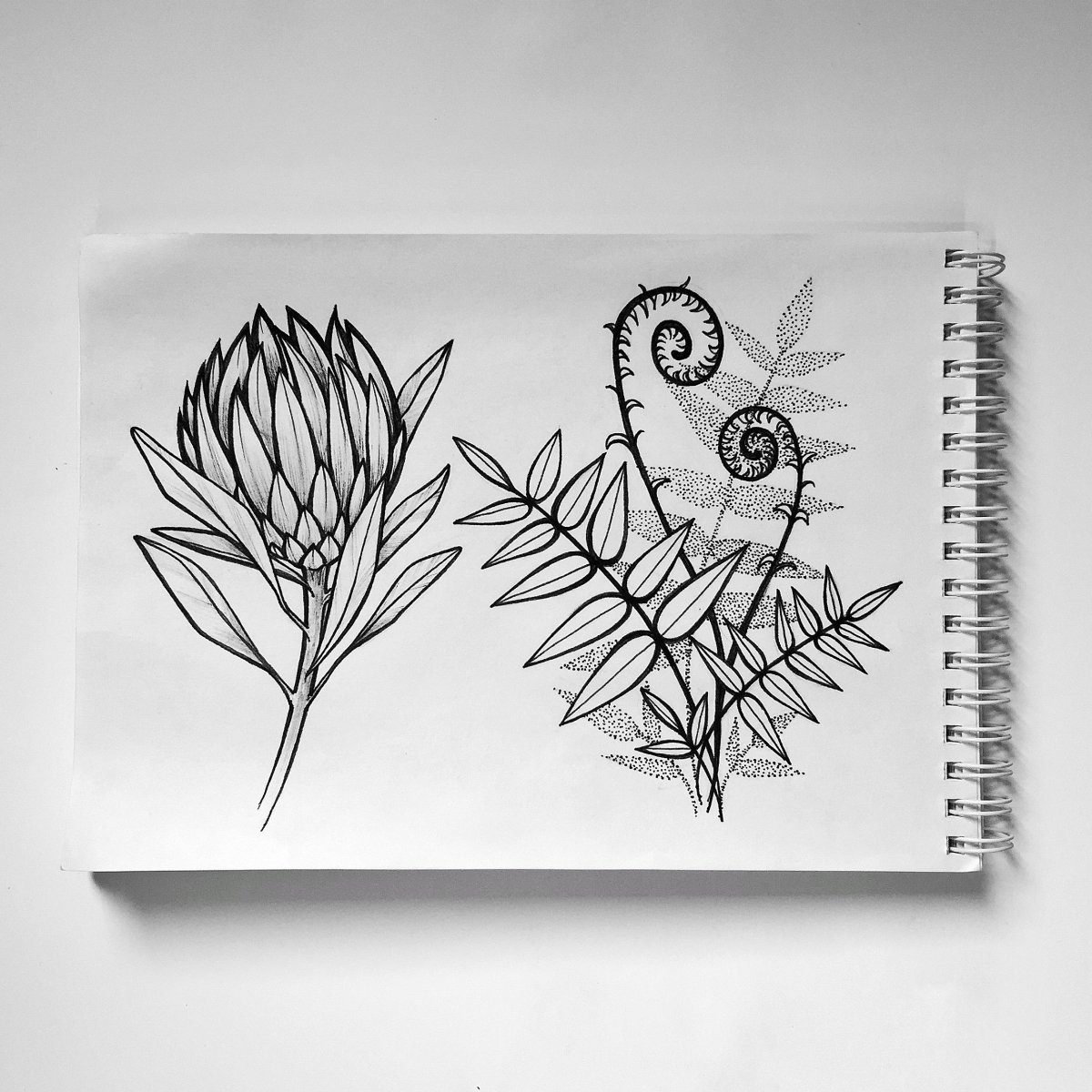 картинки для срисовки в скетчбук цветы