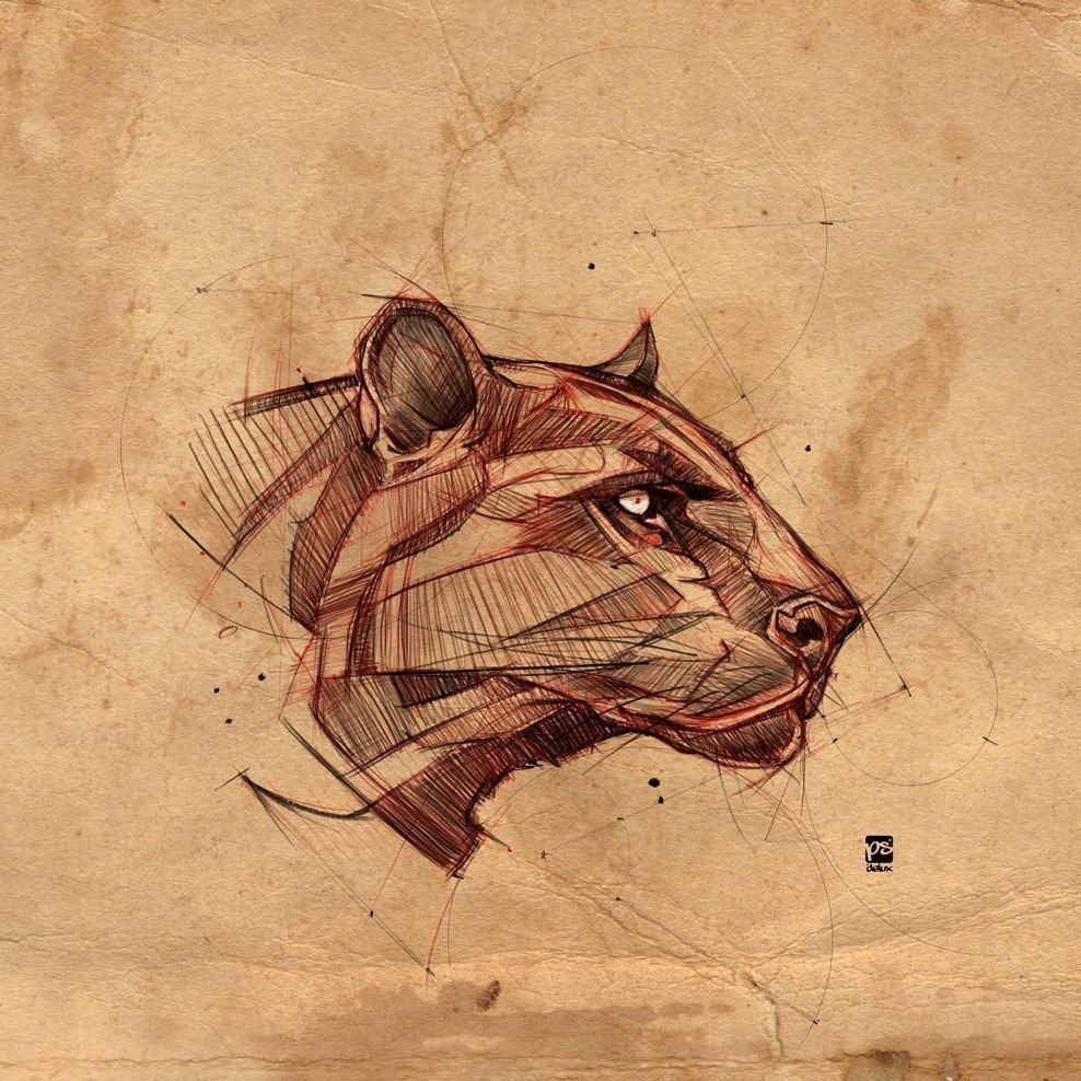 Скетч рисунки животных