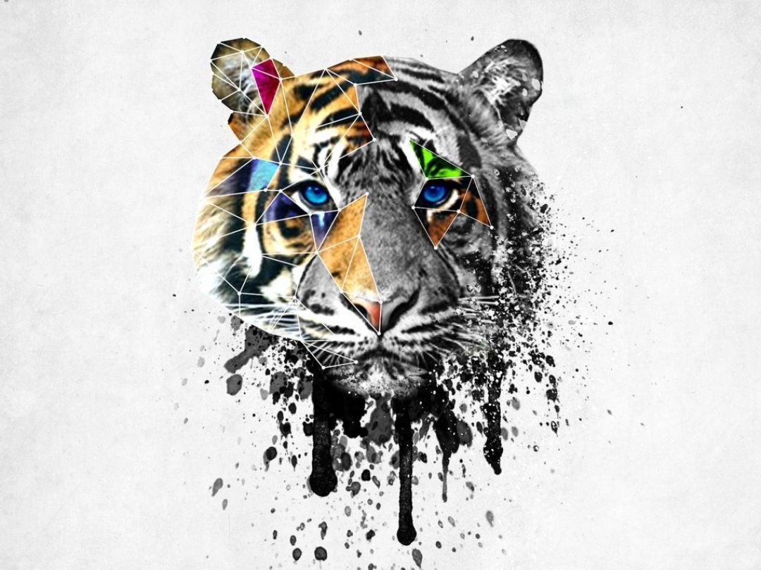 Тигр тату эскиз цветной