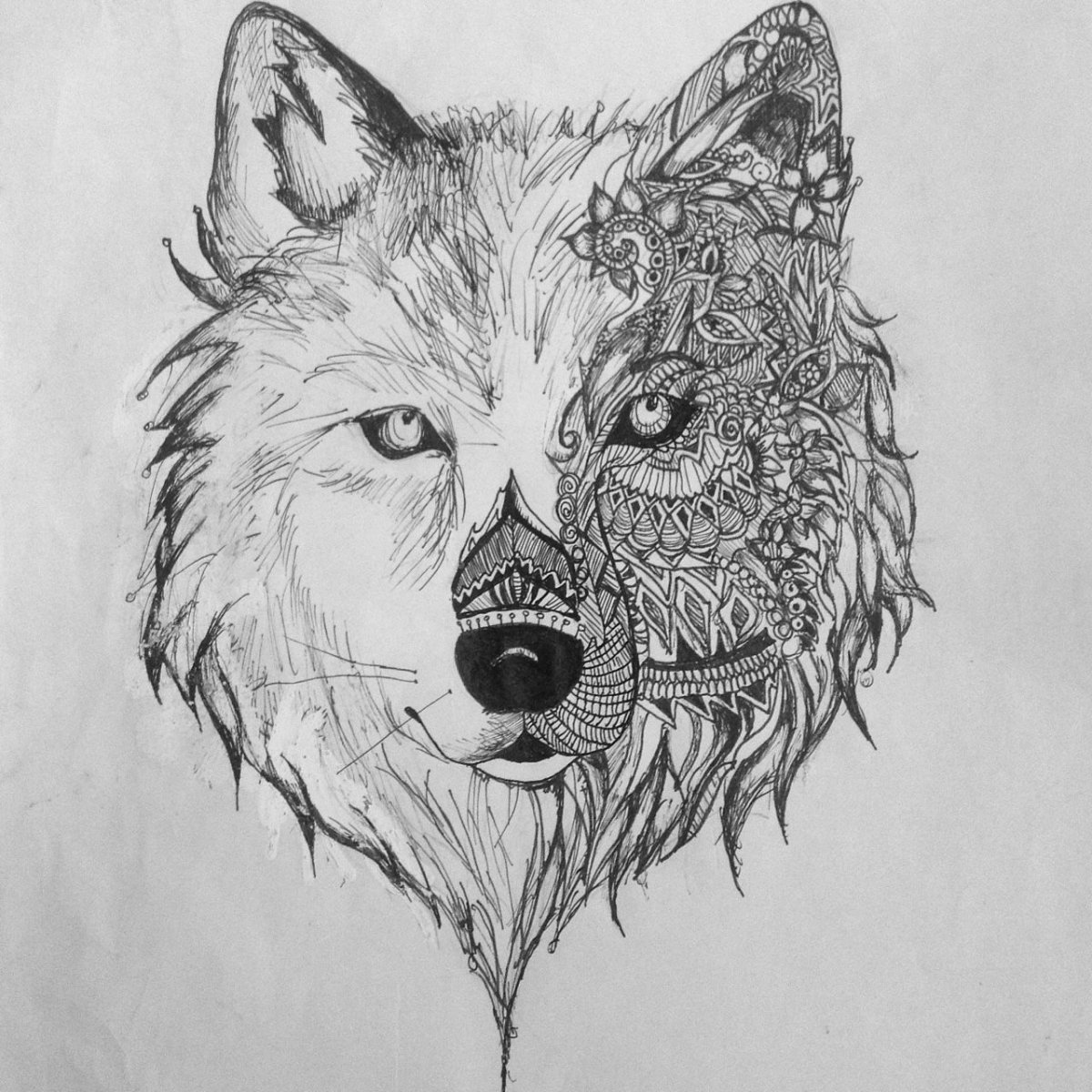 Эскиз волка карандашом