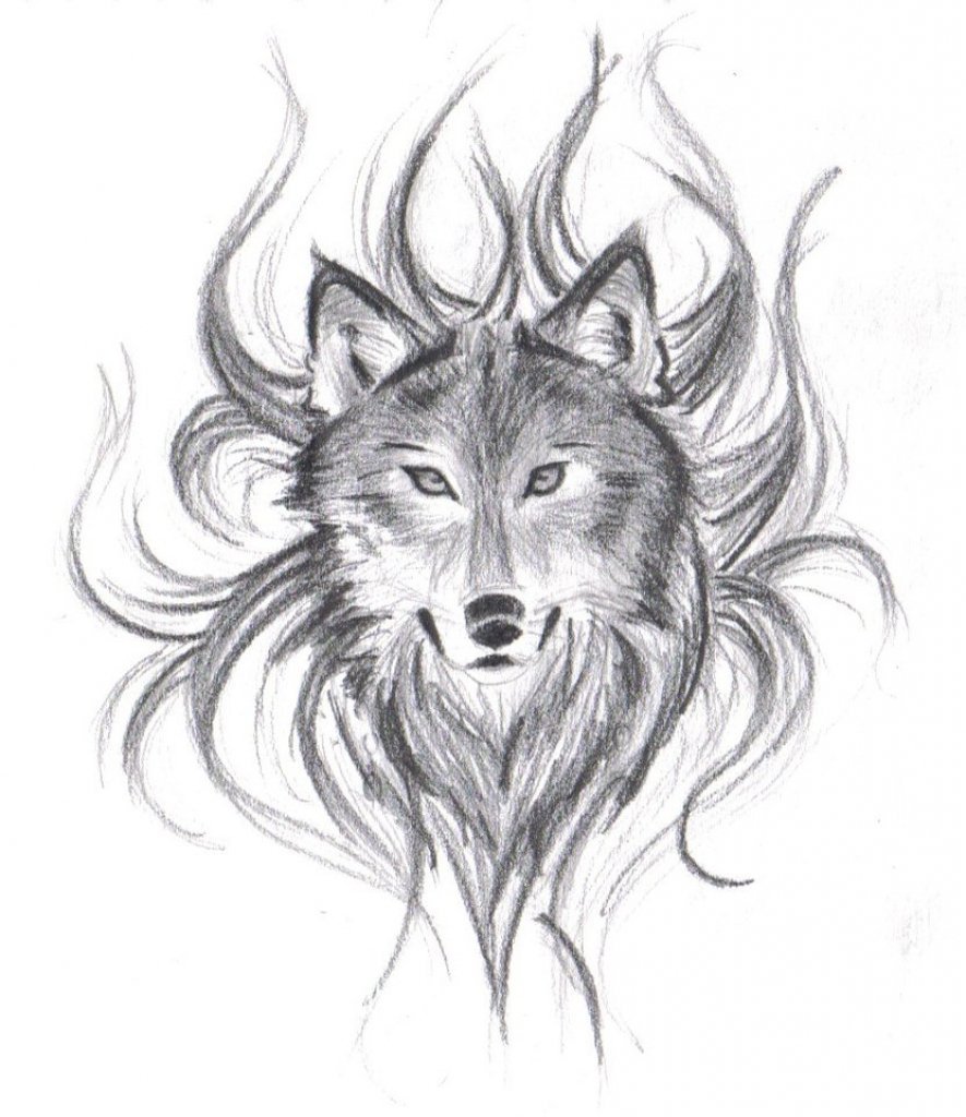 Изображение волка карандашом