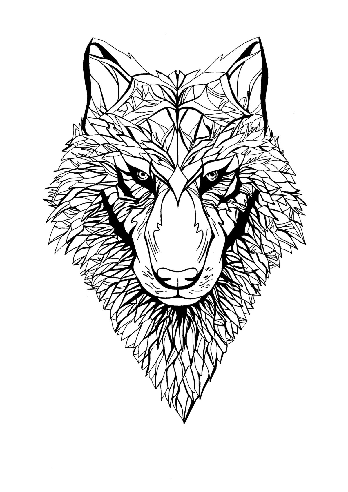 Стилизованный волк Графика