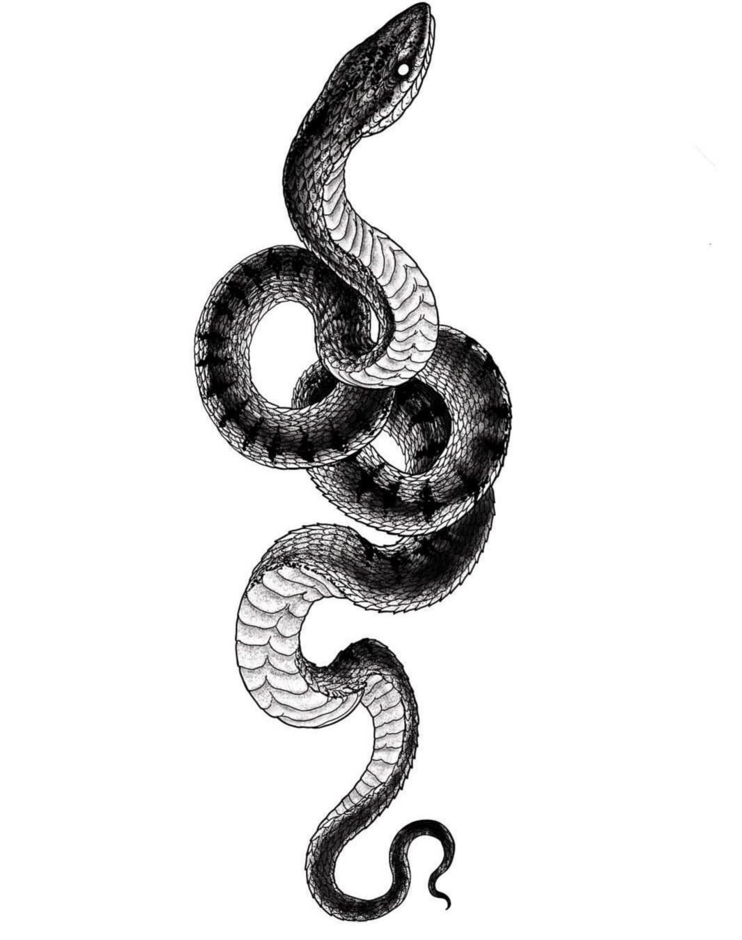 Эскизы в виде змеи