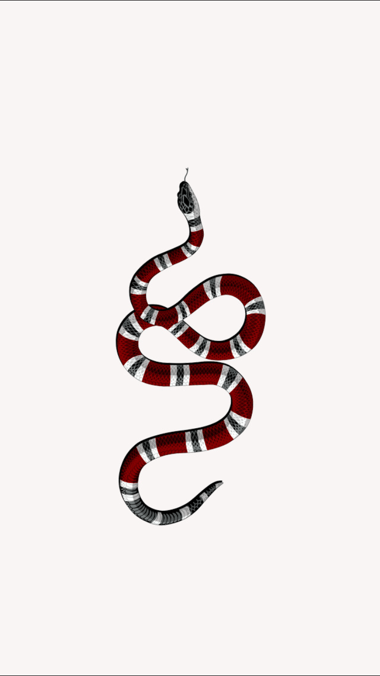 Белая змея на черном фоне рисунок