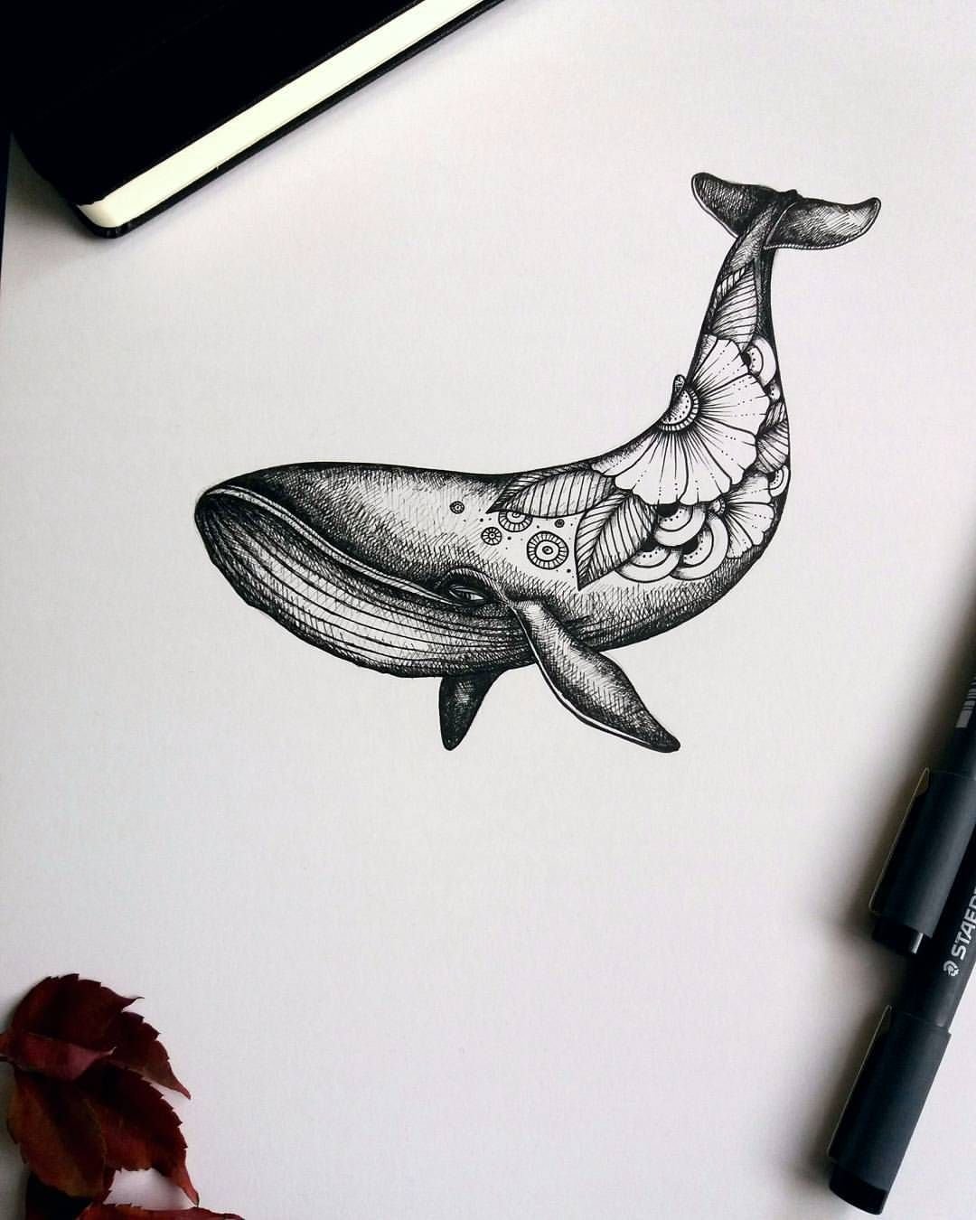 Эскизы китов